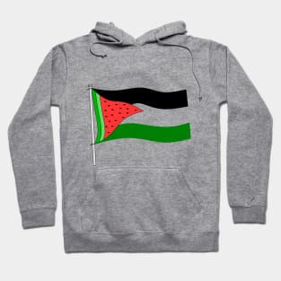 Watermelon Palestine flag Hoodie